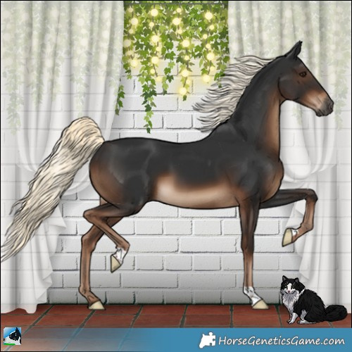 Horse Color:Gray Liver Chestnut Mushroom 