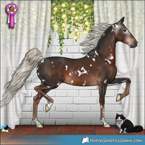 Horse Color:Gray White Spotted Liver Chestnut Mushroom Rabicano 