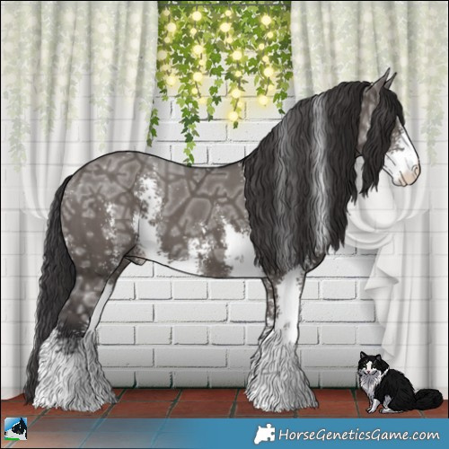 Horse Color:Smoky Grullo Ice Mushroom Sabino Brindle 