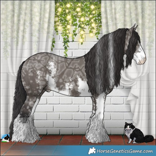 Horse Color:Smoky Grullo Ice Mushroom Sabino Brindle 