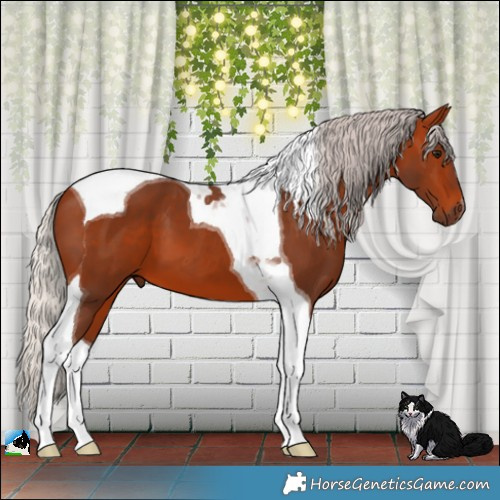 Horse Color:Silver Bay Tobiano 
