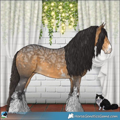 Horse Color:Buckskin Ice Sabino