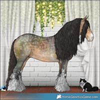 Horse Color:Buckskin Ice Sabino 