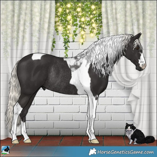 Horse Color:Liver Chestnut Mushroom Tobiano Rabicano