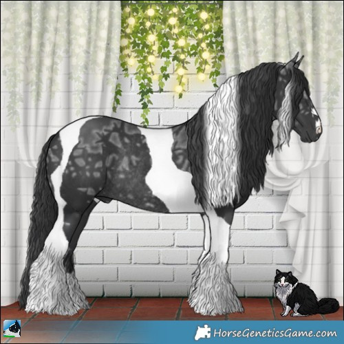 Horse Color:Black Ice Mushroom Tobiano Rabicano 