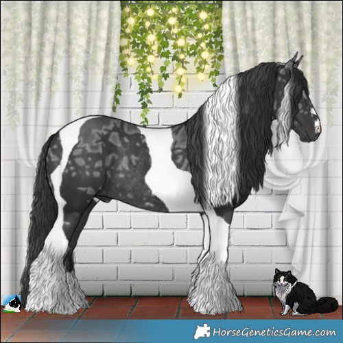 Horse Color:Black Ice Mushroom Tobiano Rabicano 