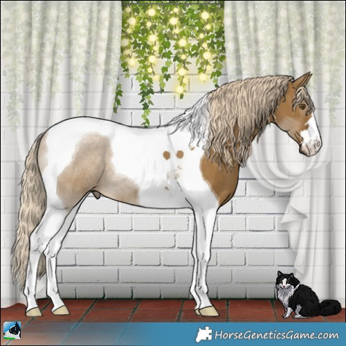 Horse Color:Chocolate Palomino Dun Mushroom Tobiano