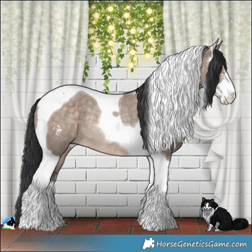 Horse Color:Brown Dun Mushroom Sabino Tobiano Rabicano 