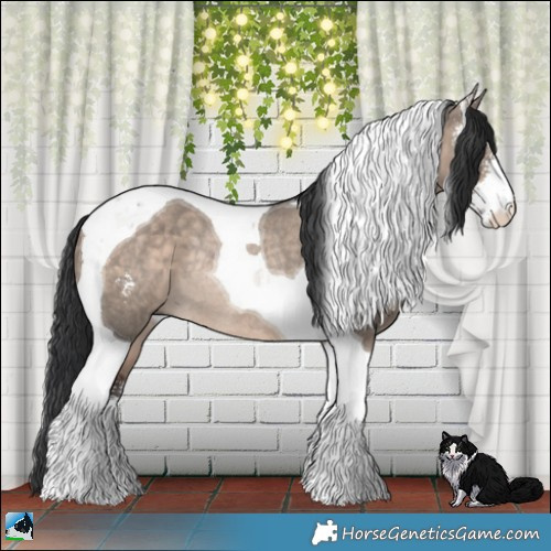 Horse Color:Brown Dun Mushroom Sabino Tobiano Rabicano 