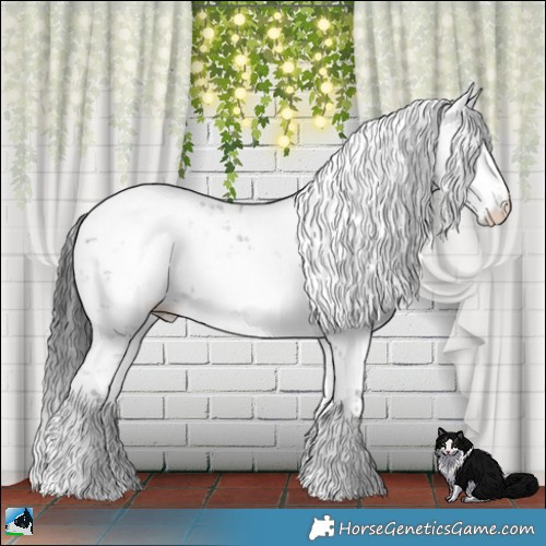 Horse Color:Grullo Ice Sabino Rabicano 