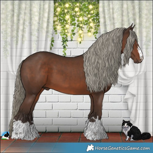 Horse Color:Liver Chestnut Mushroom 