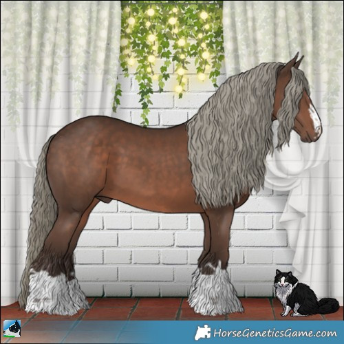 Horse Color:Liver Chestnut Mushroom 