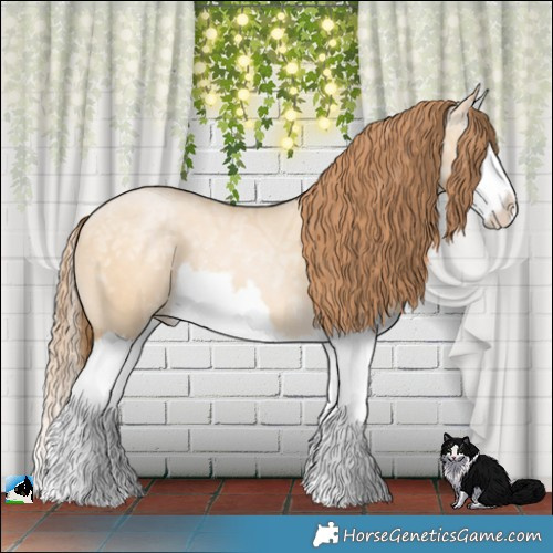 Horse Color:Buckskin Ice Pearl Dun Sabino Splash 