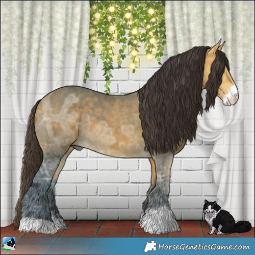 Horse Color:Buckskin Ice Sabino