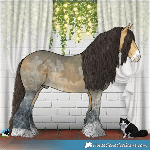 Horse Color:Buckskin Ice Sabino 