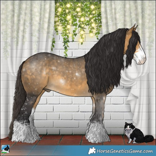 Horse Color:Buckskin Mushroom Sabino