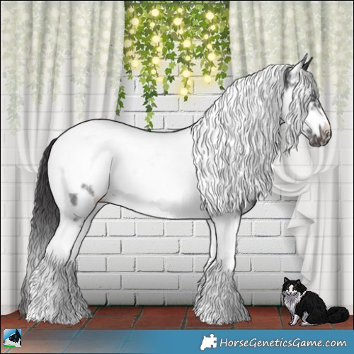 Horse Color:Smoky Black Sabino Tobiano Frame Rabicano 