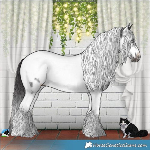 Horse Color:Smoky Black Sabino Tobiano Frame Rabicano 