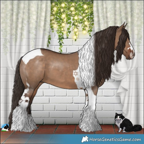 Horse Color:Liver Red Dun Tobiano 