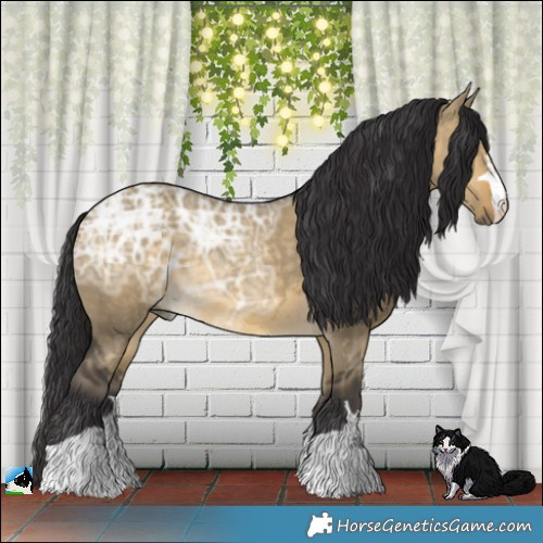 Horse Color:Buckskin Ice Dun 
