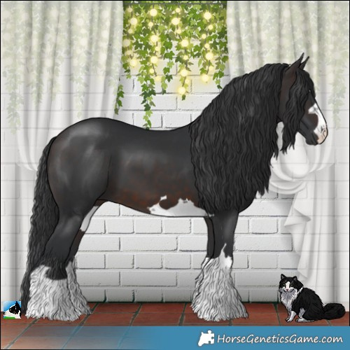 Horse Color:Brown Mushroom 