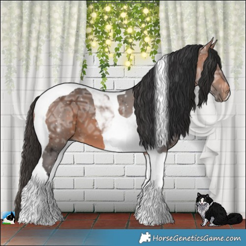 Horse Color:Bay Ice Tobiano 