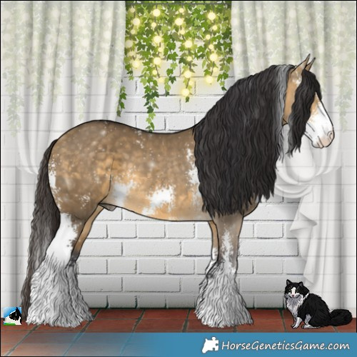 Horse Color:Buckskin Dun Sabino 