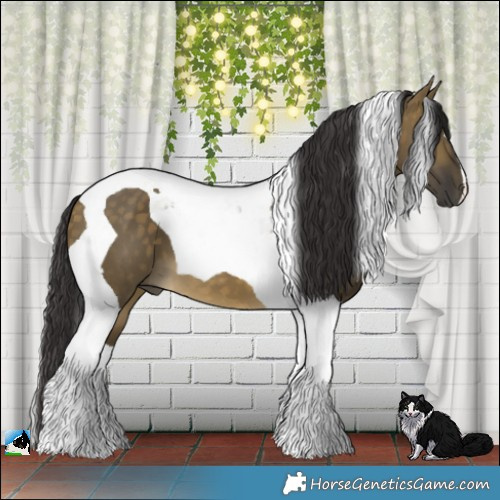 Horse Color:Buckskin Dun Tobiano 