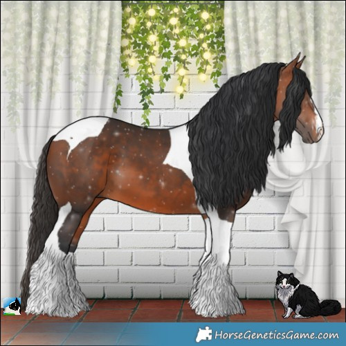 Horse Color:Bay Tobiano 