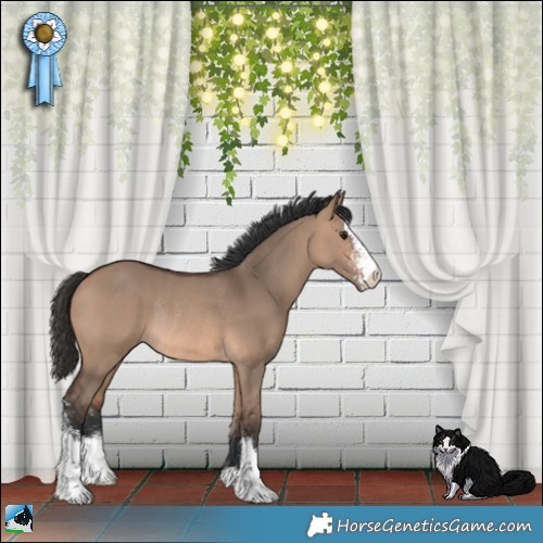 Horse Color:Bay Dun Mushroom Sabino Rabicano