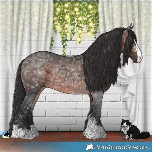Horse Color:Brown Ice Sabino Rabicano 