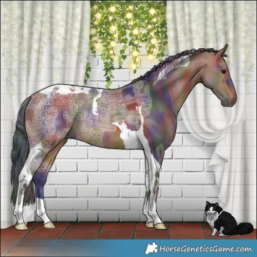 Horse Color:Nacre Bay Ice Tobiano Rabicano 