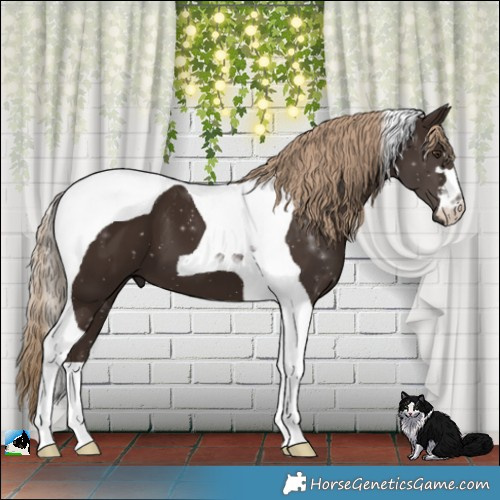 Horse Color:Liver Chestnut Tobiano 