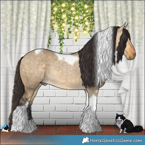 Horse Color:Buckskin Dun Tobiano Rabicano 