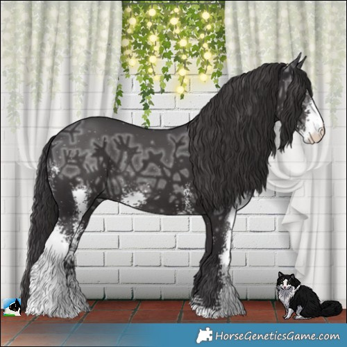 Horse Color:Smoky Black Ice Sabino Rabicano 