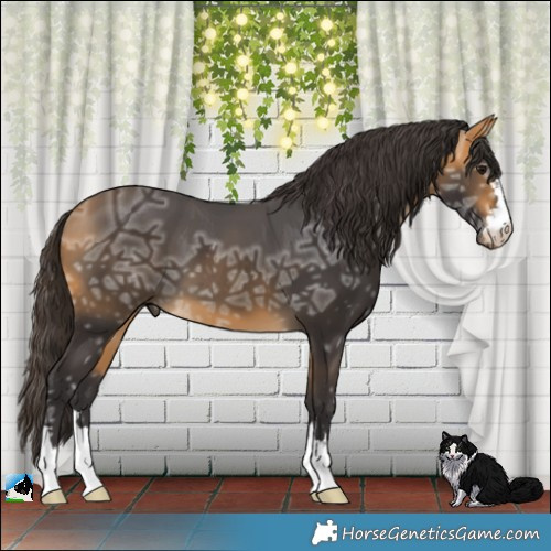 Horse Color:Buckskin Ice 