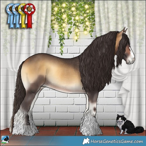 Horse Color:Buckskin Onyx Rabicano 