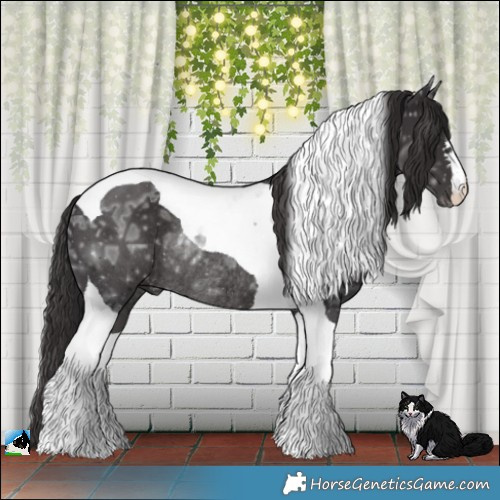 Horse Color:Smoky Black Ice Mushroom Tobiano Rabicano 