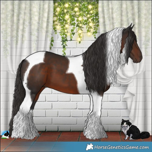 Horse Color:Liver Chestnut Tobiano 