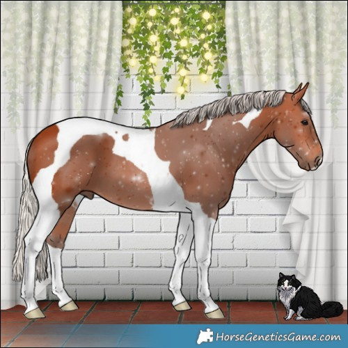 Horse Color:Silver Bay Tobiano 