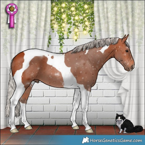 Horse Color:Silver Bay Tobiano 