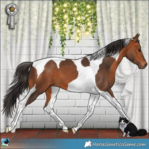 Horse Color:Bay Tobiano 