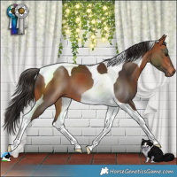 Horse Color:Bay Tobiano 