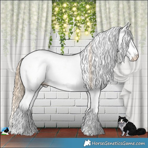 Horse Color:Smoky Grullo Pearl Mushroom Sabino Rabicano 