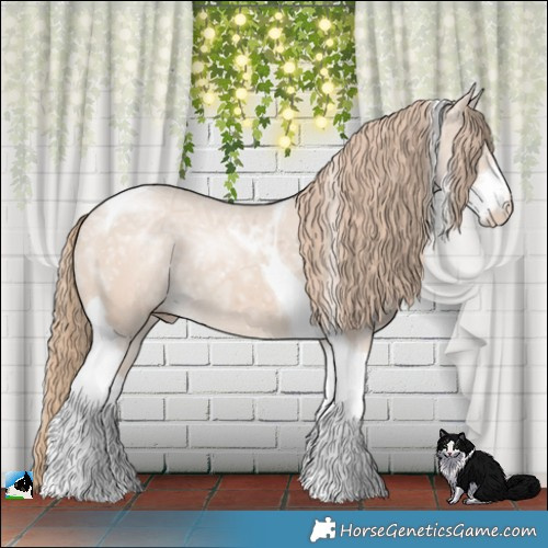 Horse Color:Smoky Creme Ice Sabino Tobiano 