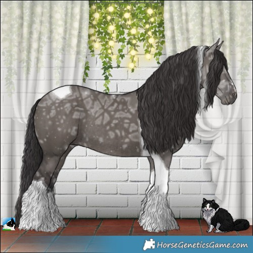 Horse Color:Smoky Grullo Ice Tobiano Rabicano Brindle 