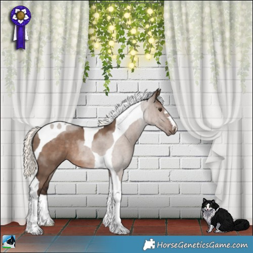 Horse Color:Liver Red Dun Mushroom Tobiano Rabicano 