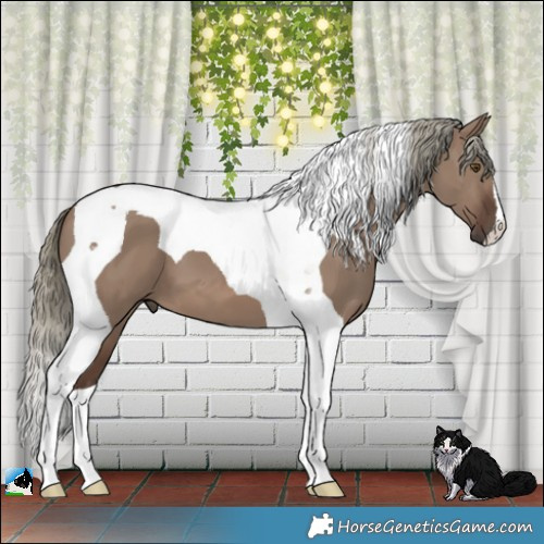 Horse Color:Liver Red Dun Mushroom Tobiano 