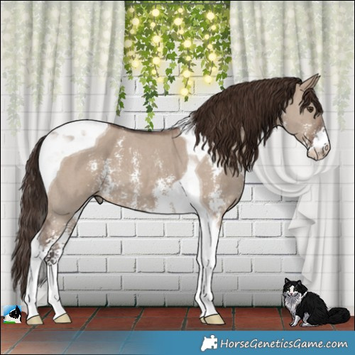 Horse Color:Liver Red Dun Sabino Tobiano 