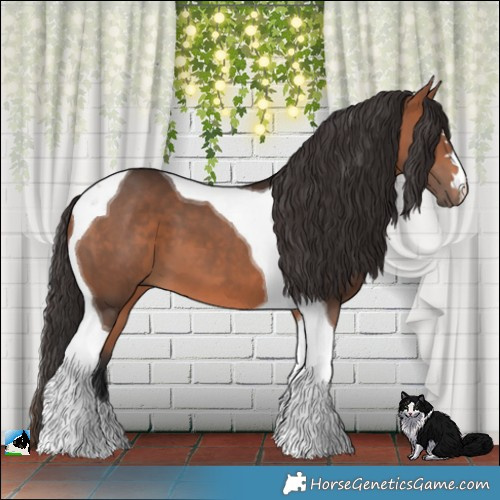 Horse Color:Bay Tobiano 